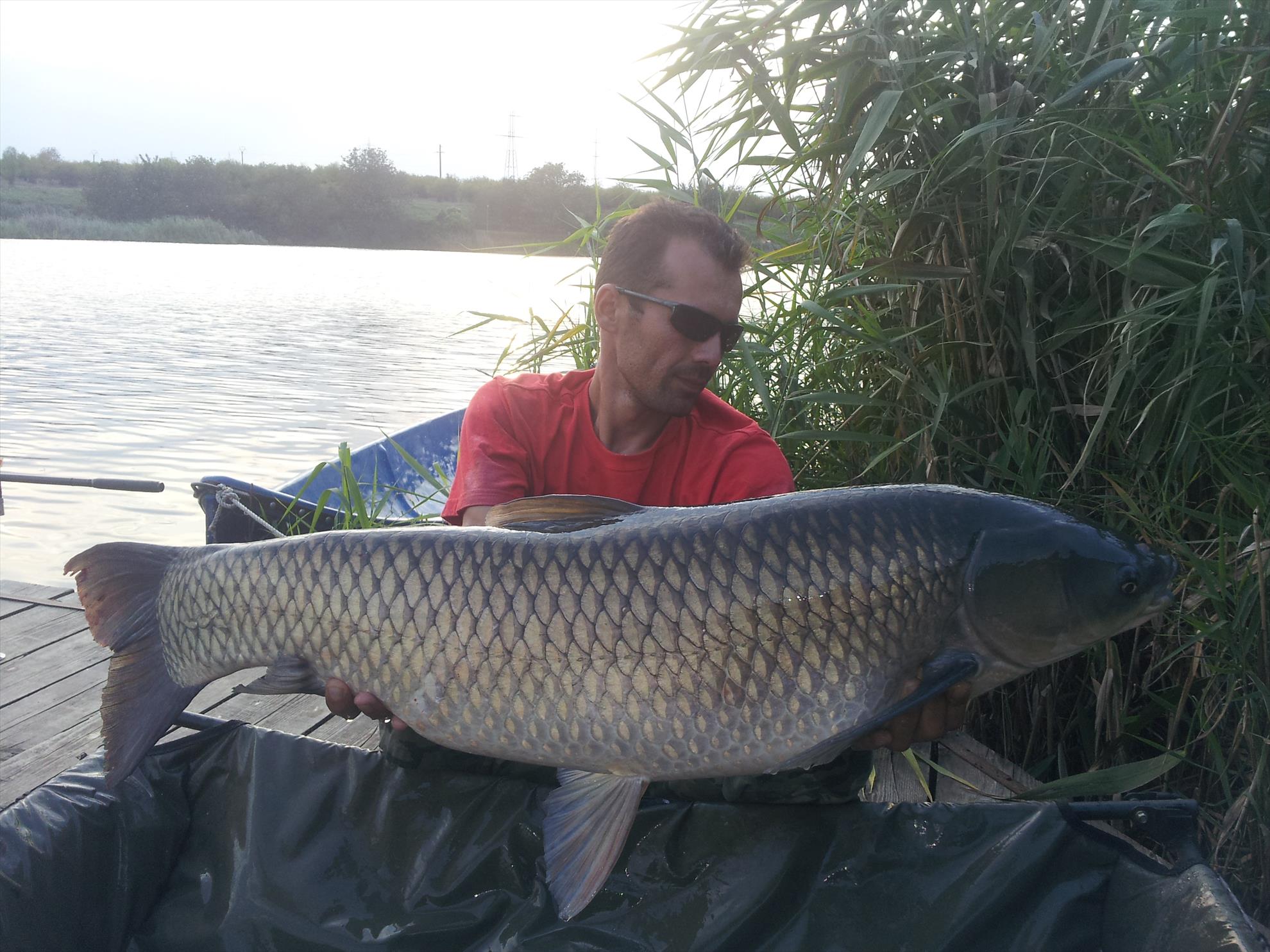 Tancabesti 31 august - 7 septembrie 2014 - 20140905183538.jpg